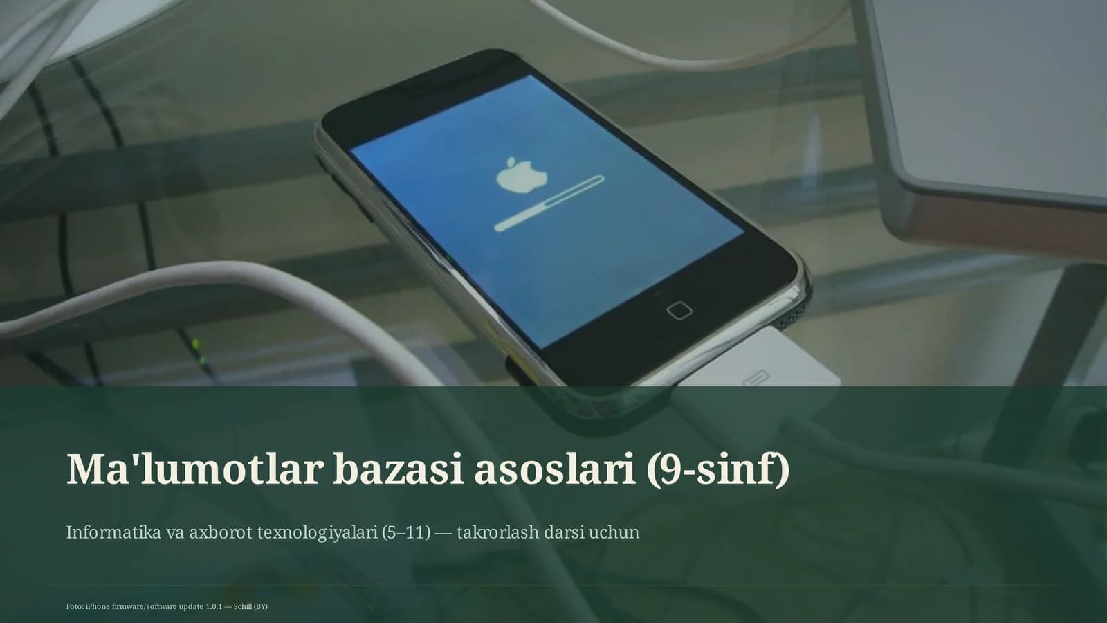 Ma'lumotlar bazasi asoslari (9-sinf)