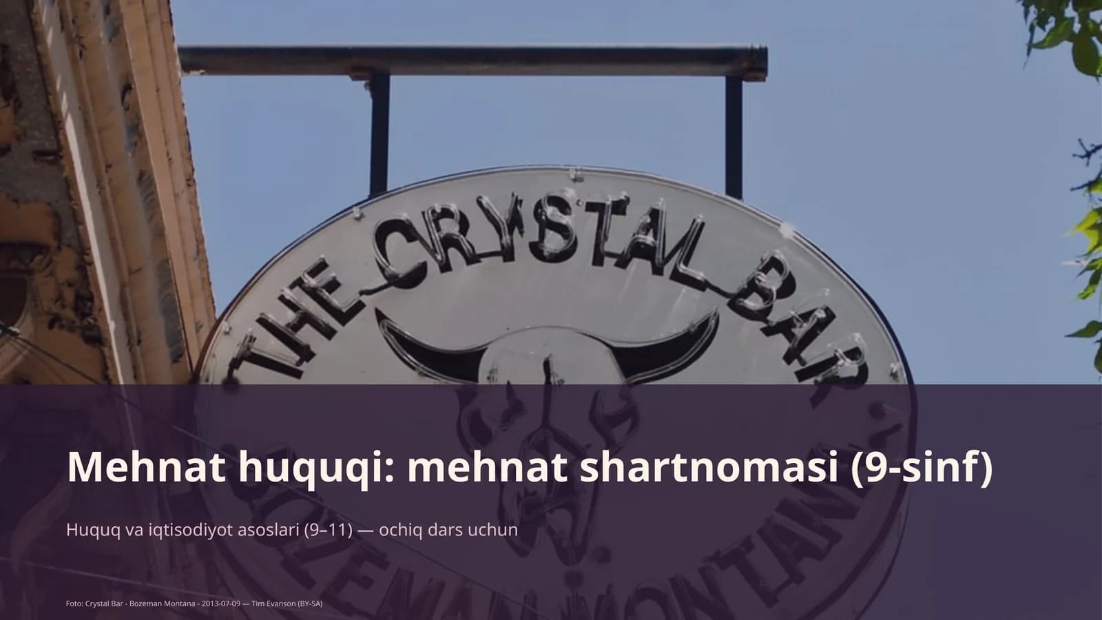 Mehnat huquqi: mehnat shartnomasi (9-sinf)
