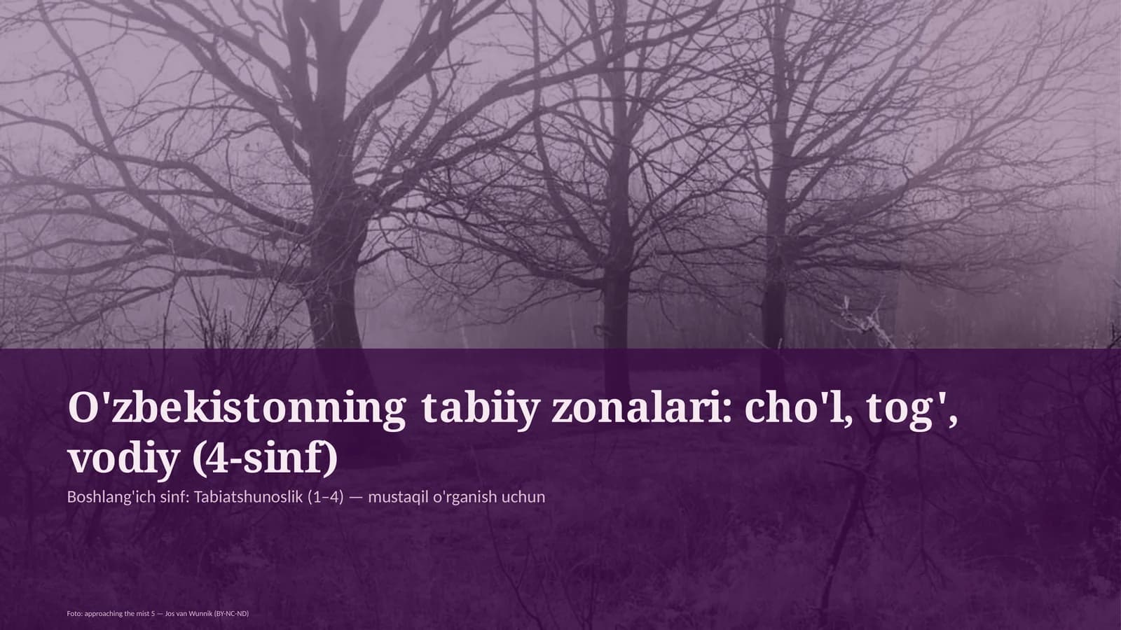 O'zbekistonning tabiiy zonalari: cho'l, tog', vodiy (4-sinf)