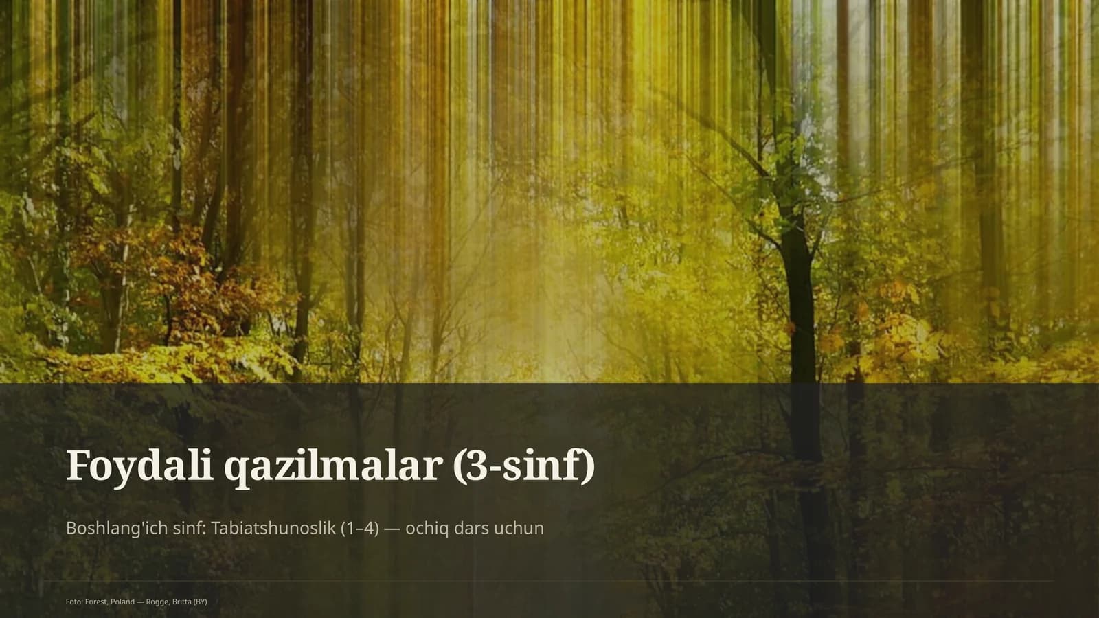 Foydali qazilmalar (3-sinf)
