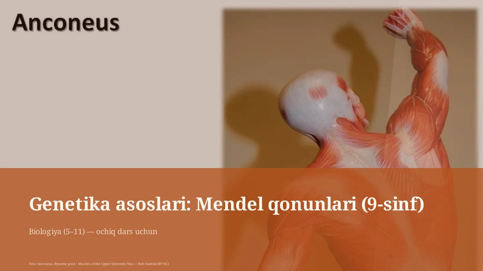 Genetika asoslari: Mendel qonunlari (9-sinf)