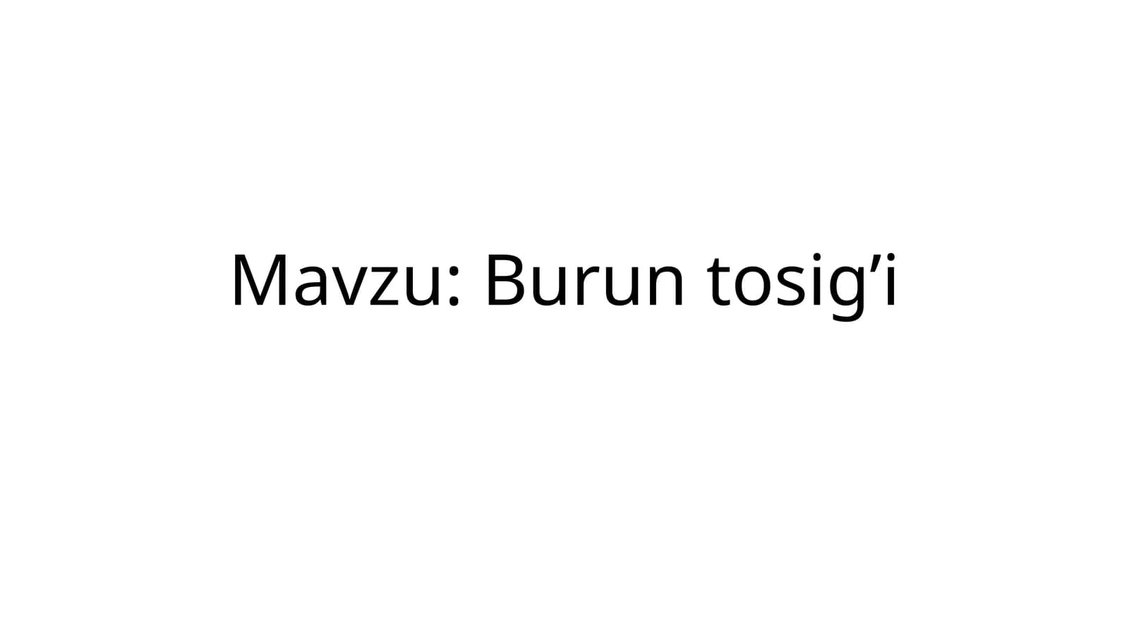 Burun to'sig'i