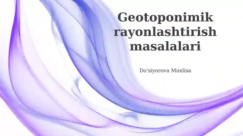 Geotoponimik rayonlashtirish masalalari
