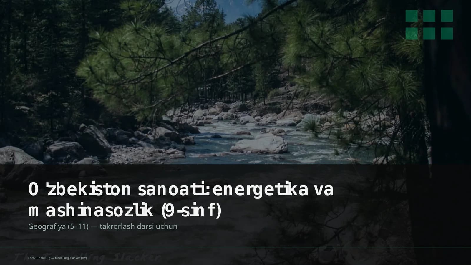 O'zbekiston sanoati: energetika va mashinasozlik (9-sinf)