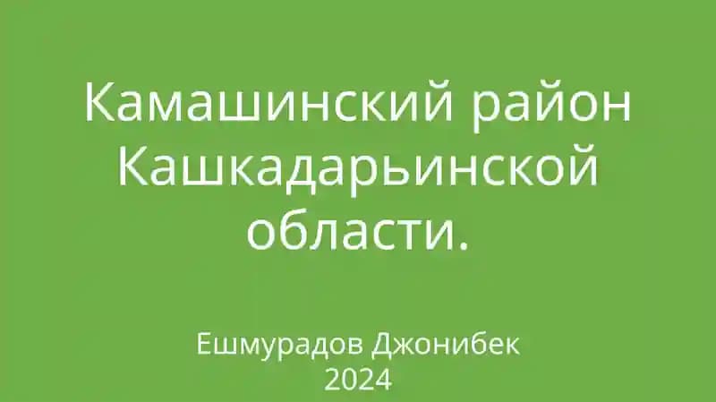 Камашинский район