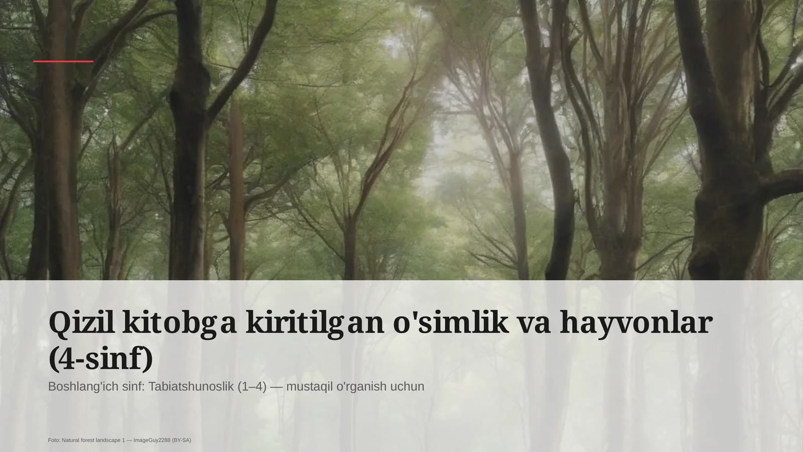 Qizil kitobga kiritilgan o'simlik va hayvonlar (4-sinf)