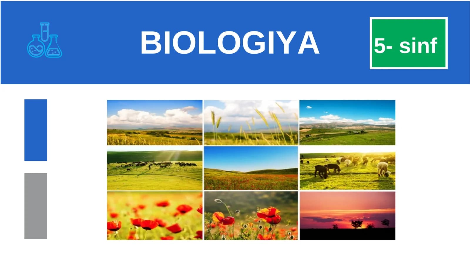 BIOLOGIYA 5-sinf