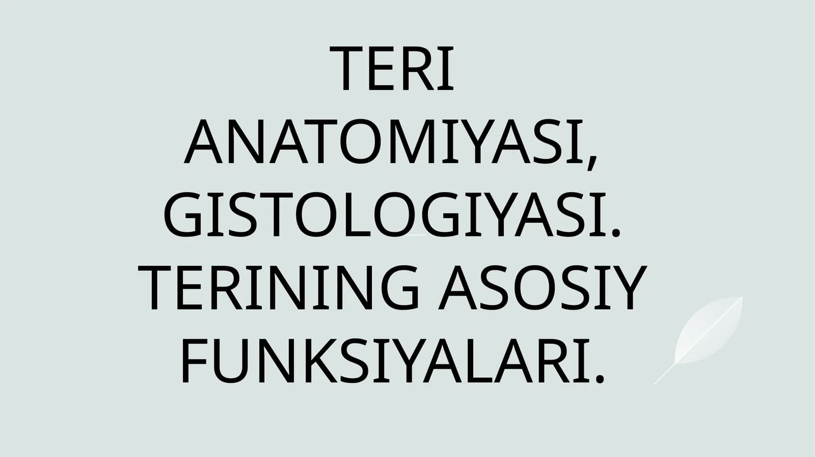 TERI ANATOMIYASI, GISTOLOGIYASI. TERINING ASOSIY FUNKSIYALARI