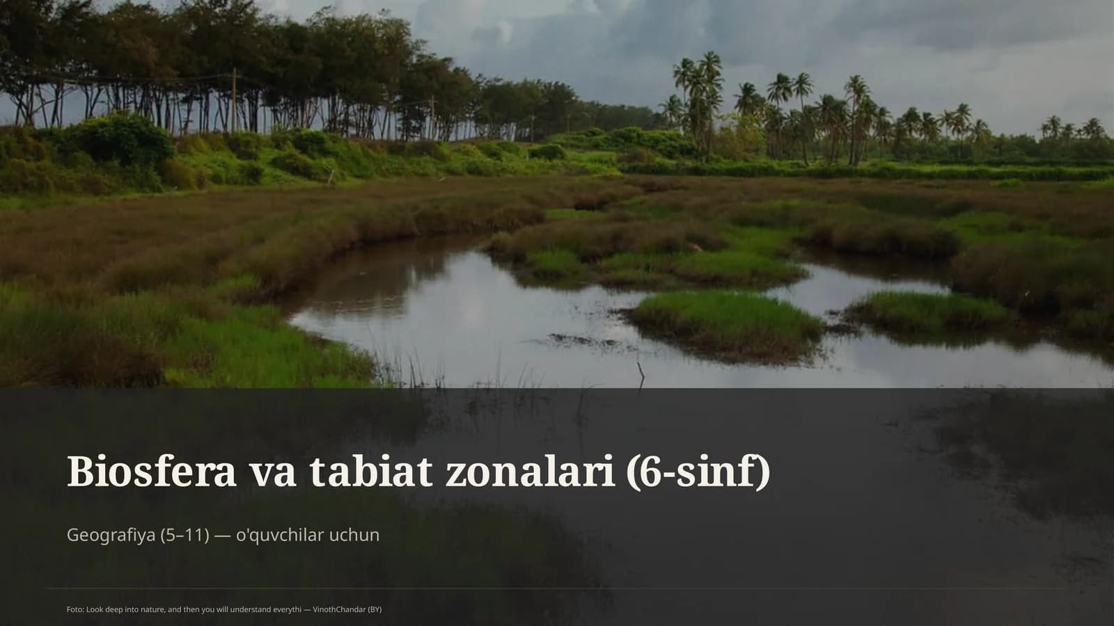 Biosfera va tabiat zonalari (6-sinf)