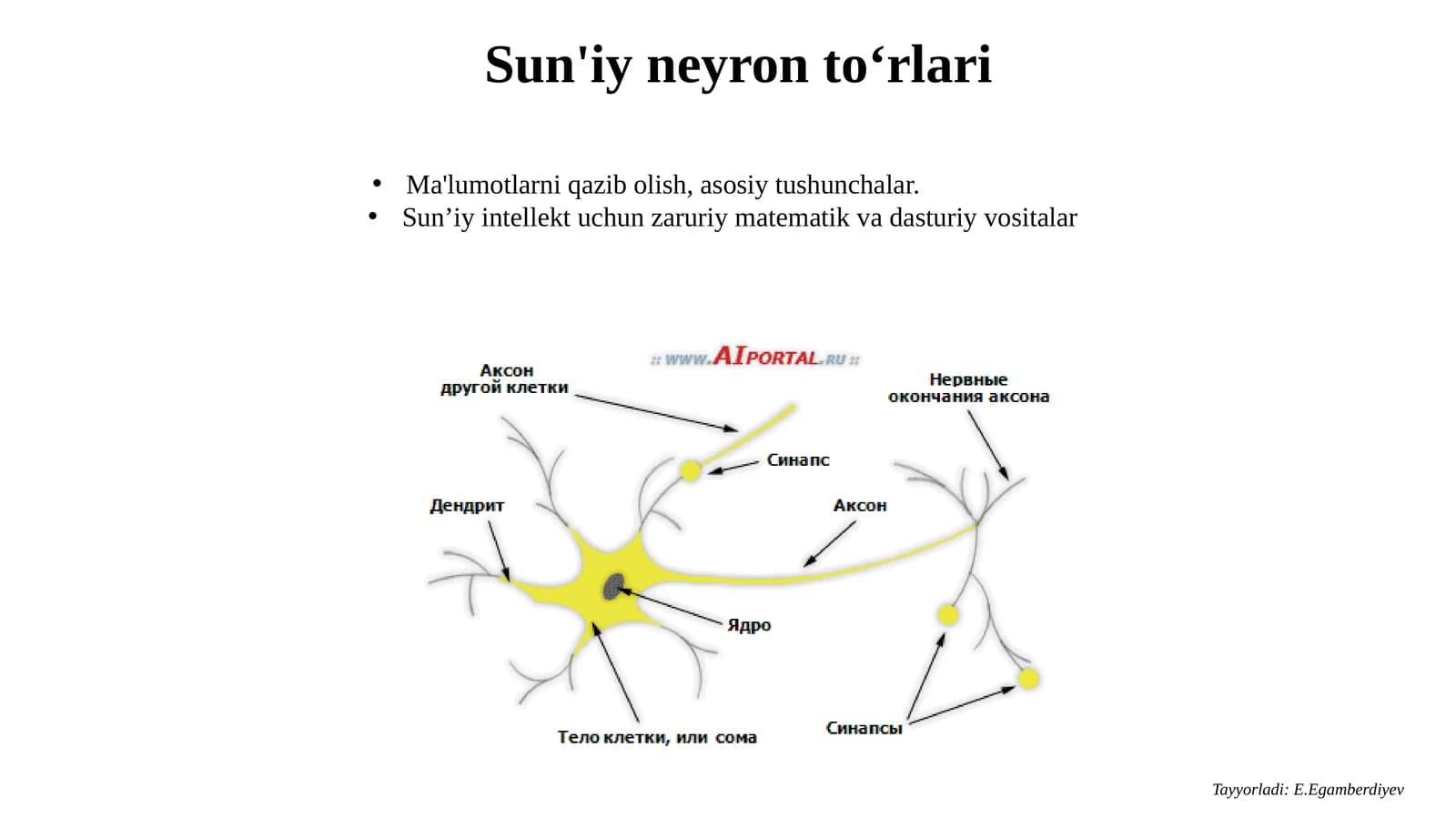 Sun'iy neyron to‘rlari