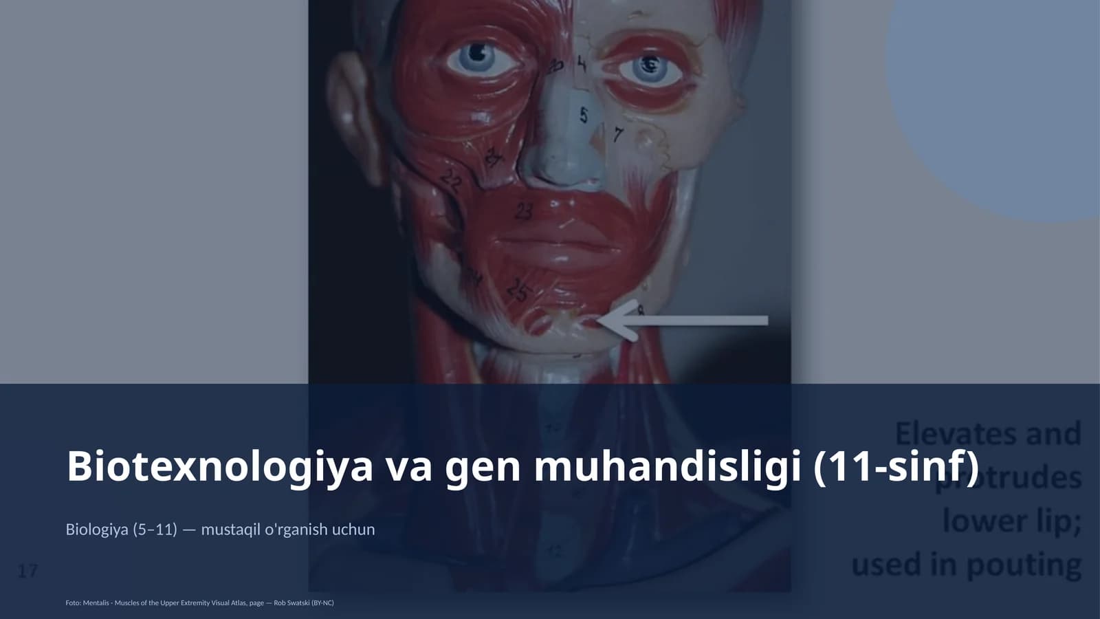 Biotexnologiya va gen muhandisligi (11-sinf)