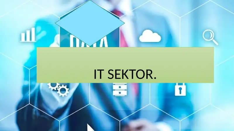 IT SEKTOR
