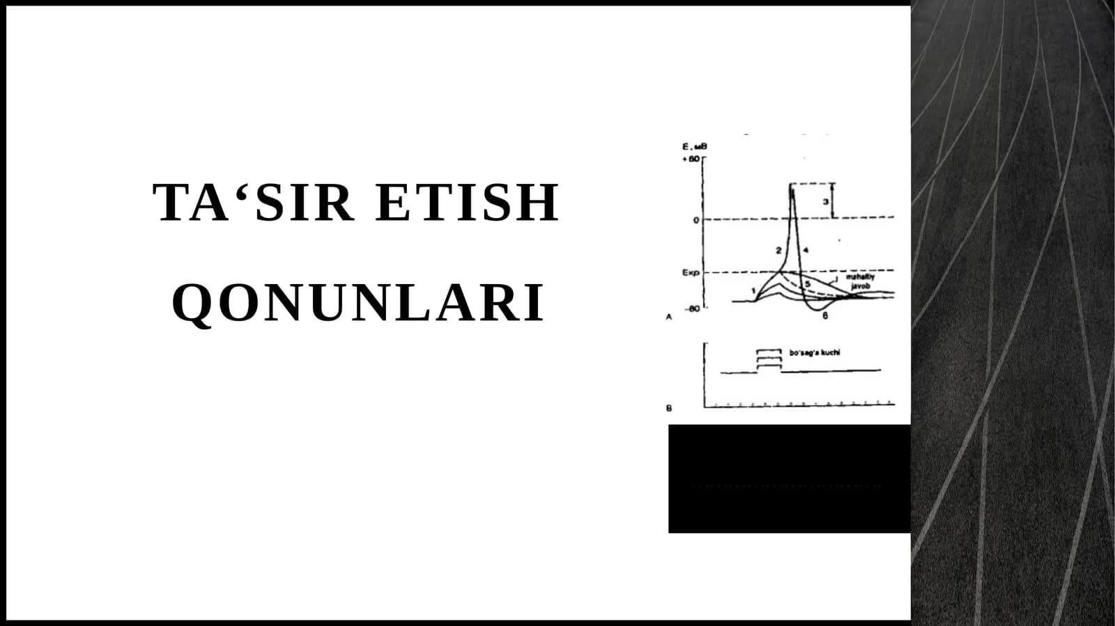 Ta‘siretishqonunlari