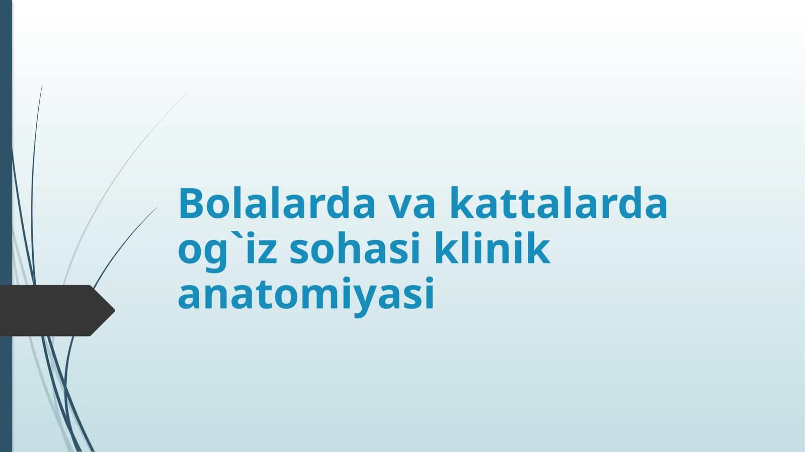 Og`iz sohasi anatomiyasi