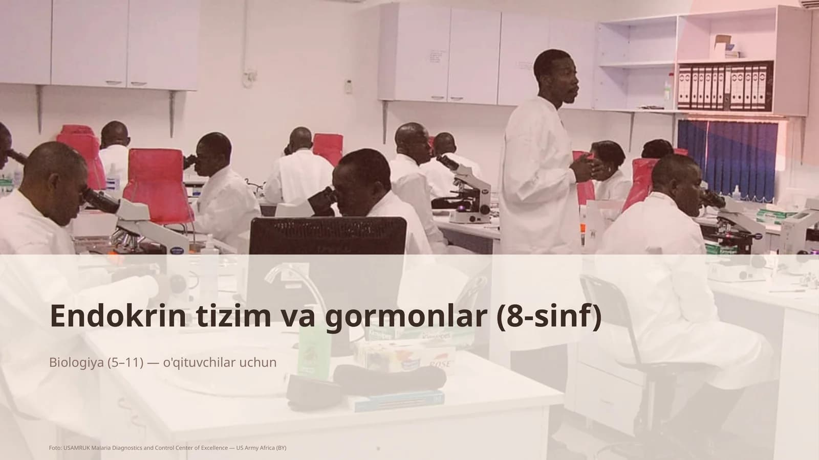 Endokrin tizim va gormonlar (8-sinf)