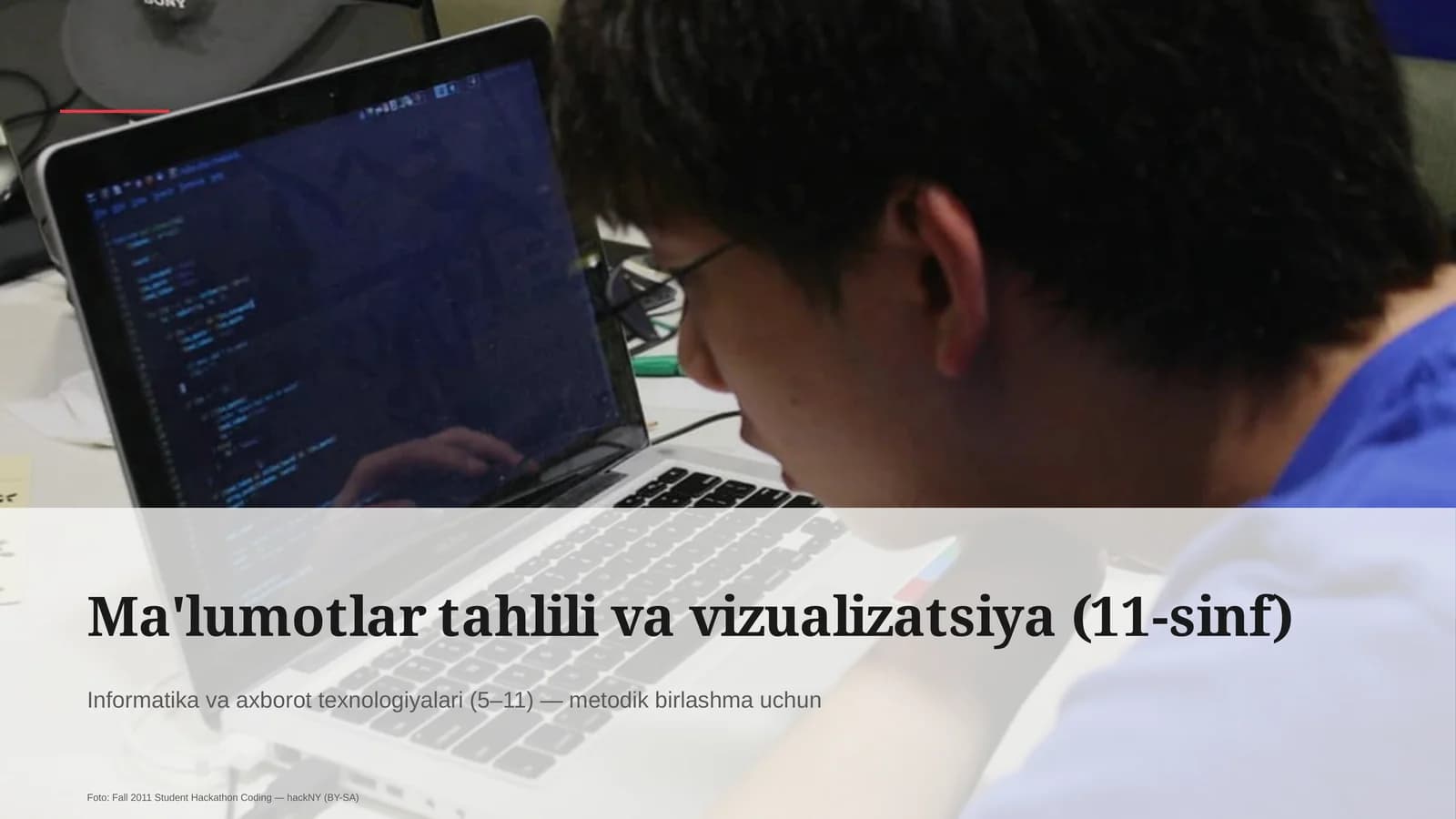 Ma'lumotlar tahlili va vizualizatsiya (11-sinf)