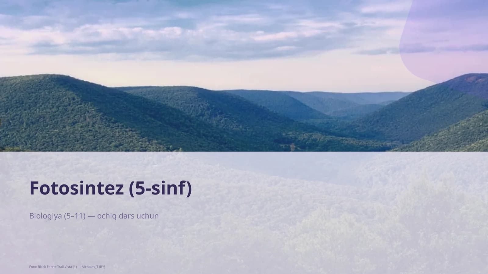 Fotosintez (5-sinf)