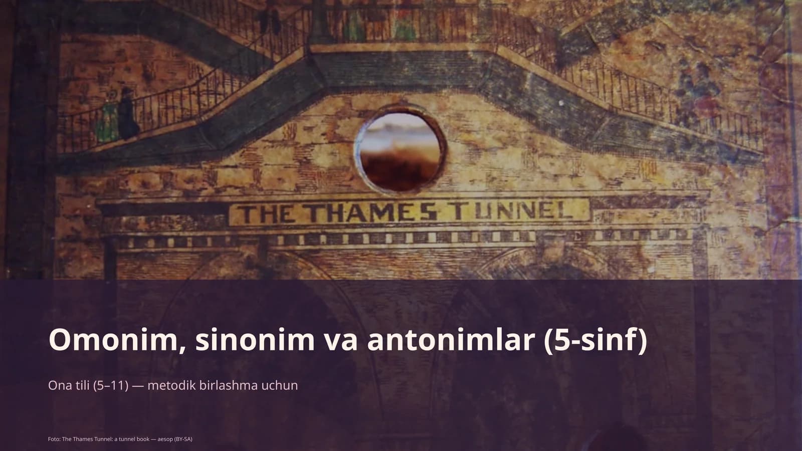 Omonim, sinonim va antonimlar (5-sinf)