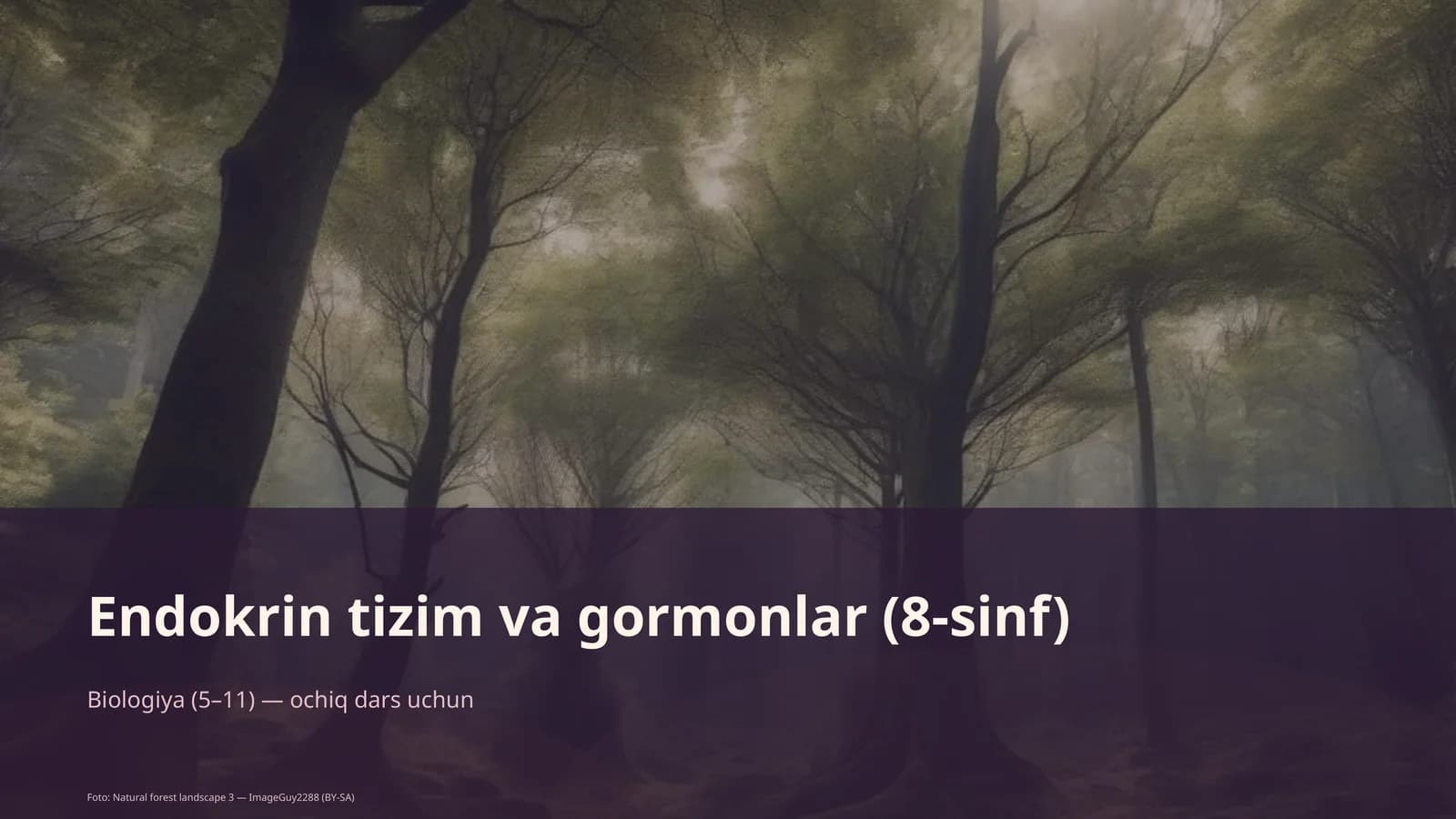 Endokrin tizim va gormonlar (8-sinf)