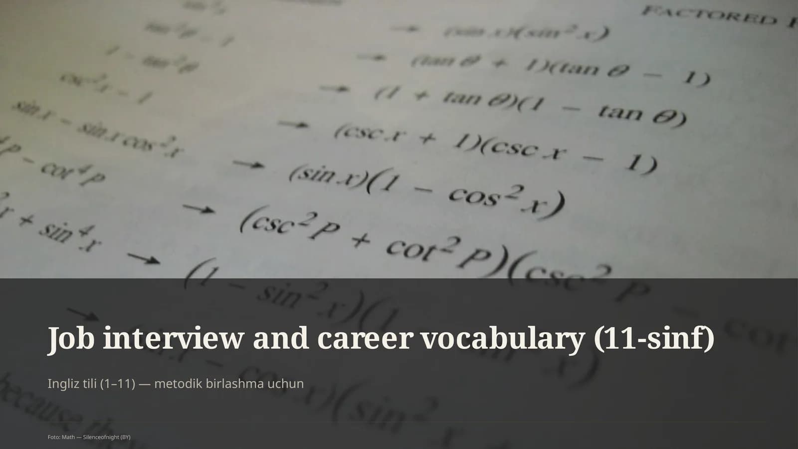 Job interview and career vocabulary (11-sinf)