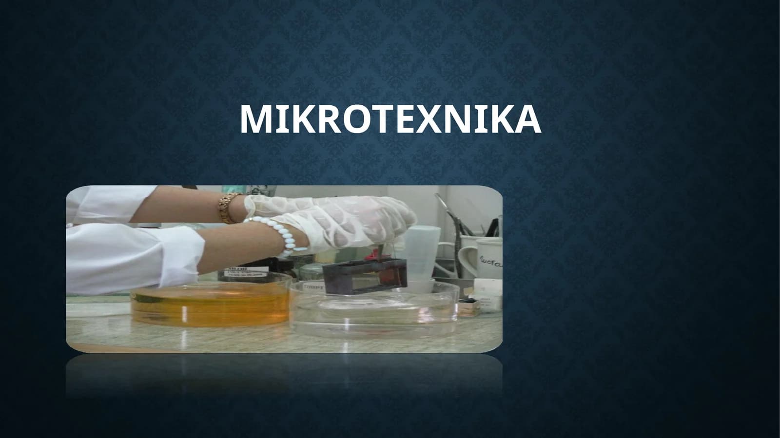 Mikrotexnika