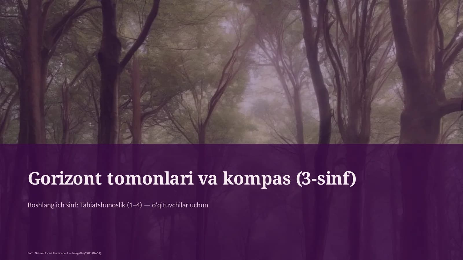 Gorizont tomonlari va kompas (3-sinf)