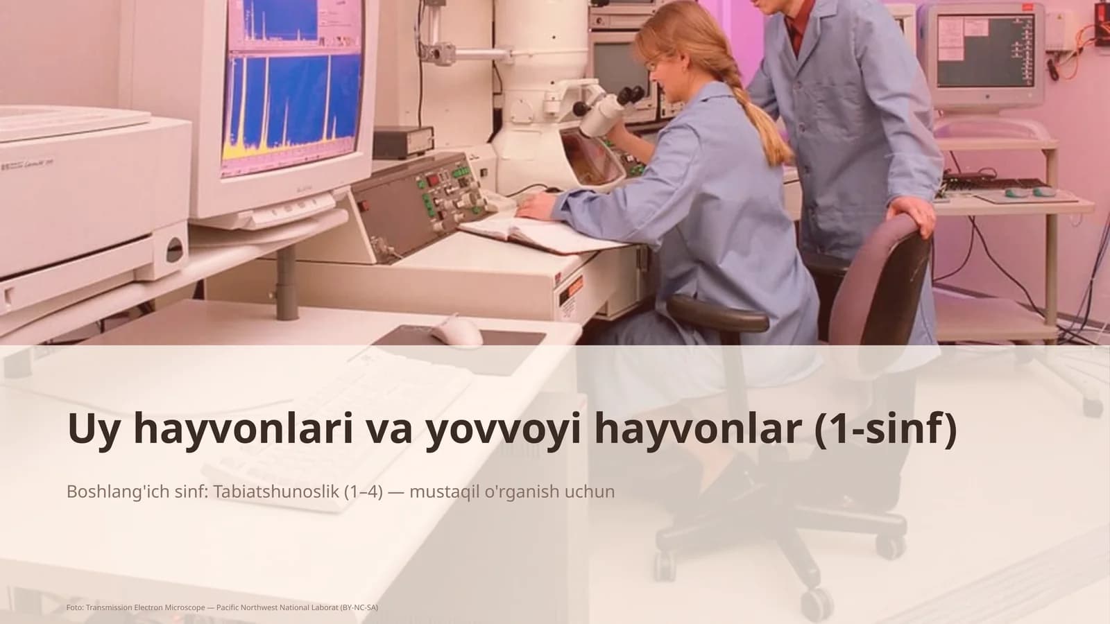 Uy hayvonlari va yovvoyi hayvonlar (1-sinf)