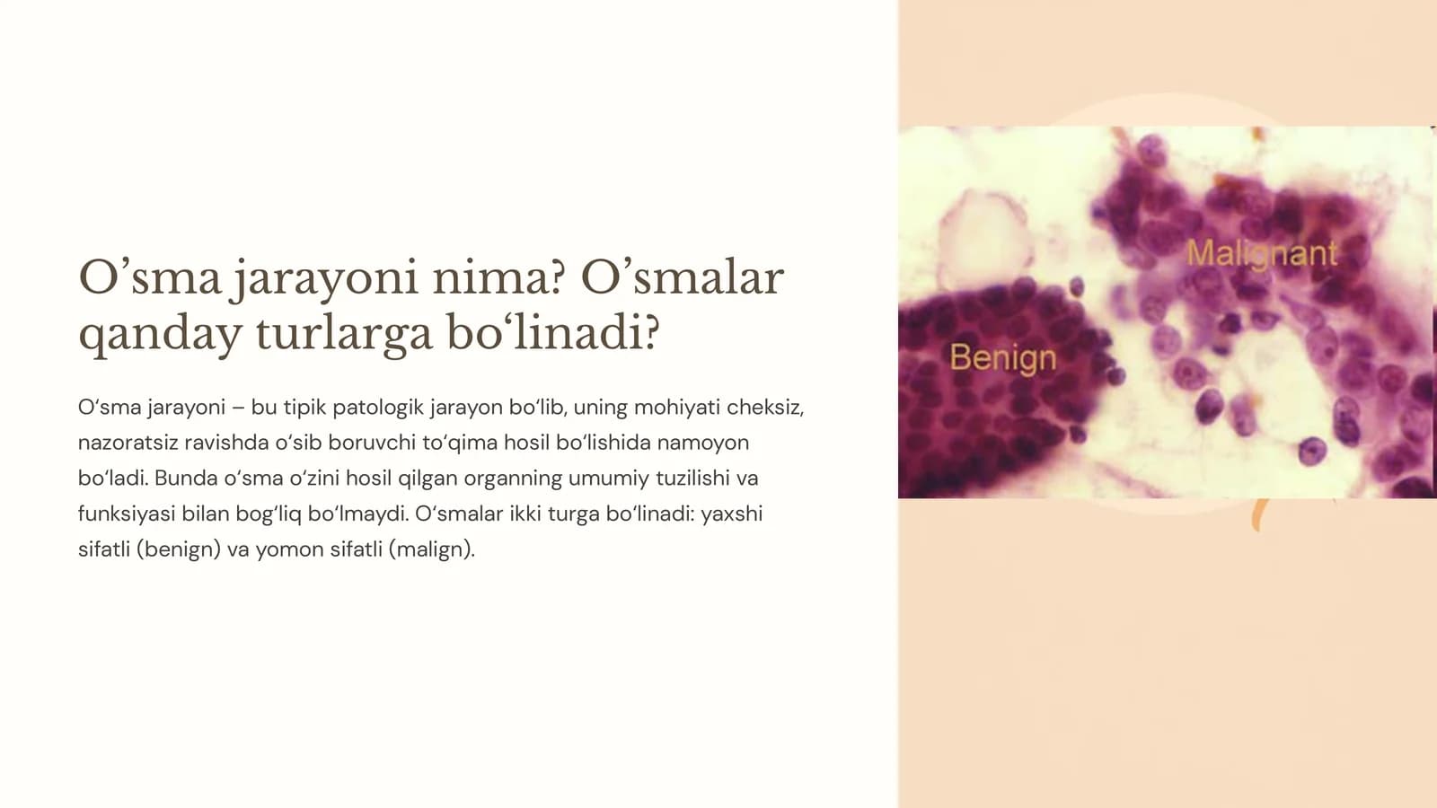 O’sma jarayoni nima? O’smalar qanday turlarga bo‘linadi
