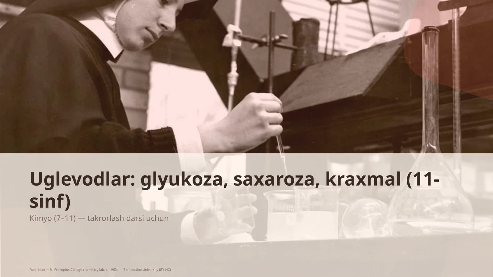 Uglevodlar: glyukoza, saxaroza, kraxmal (11-sinf)