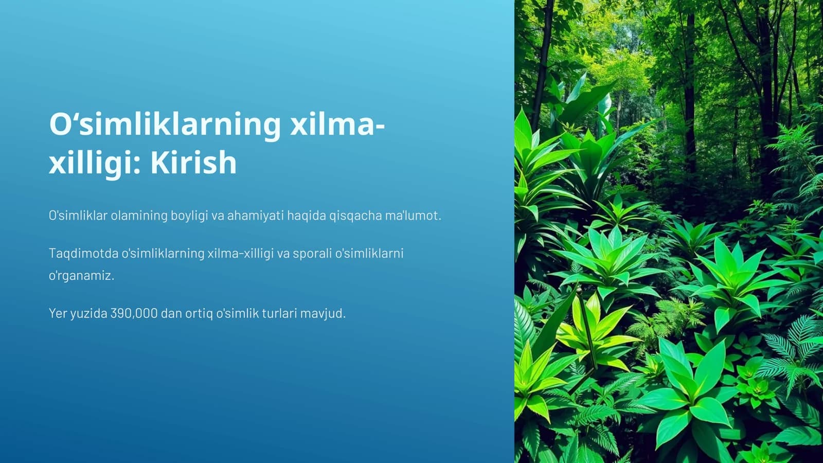 O'simliklarning xilma-xilligi va sporali o'simliklarni o'rganamiz