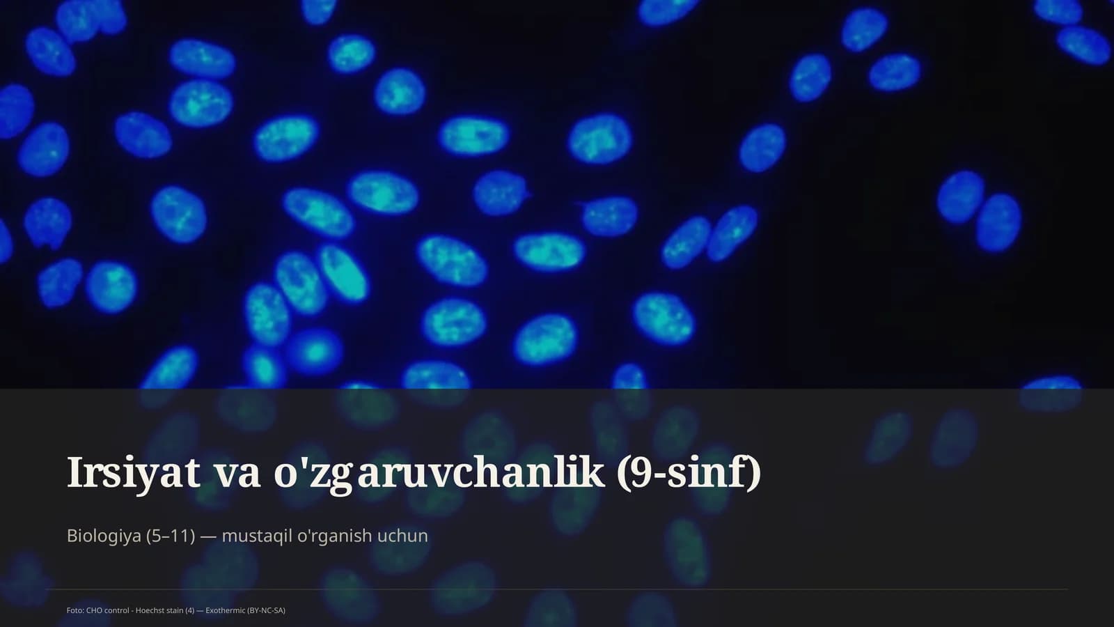 Biologiya (5–11) — mustaqil o'rganish uchun