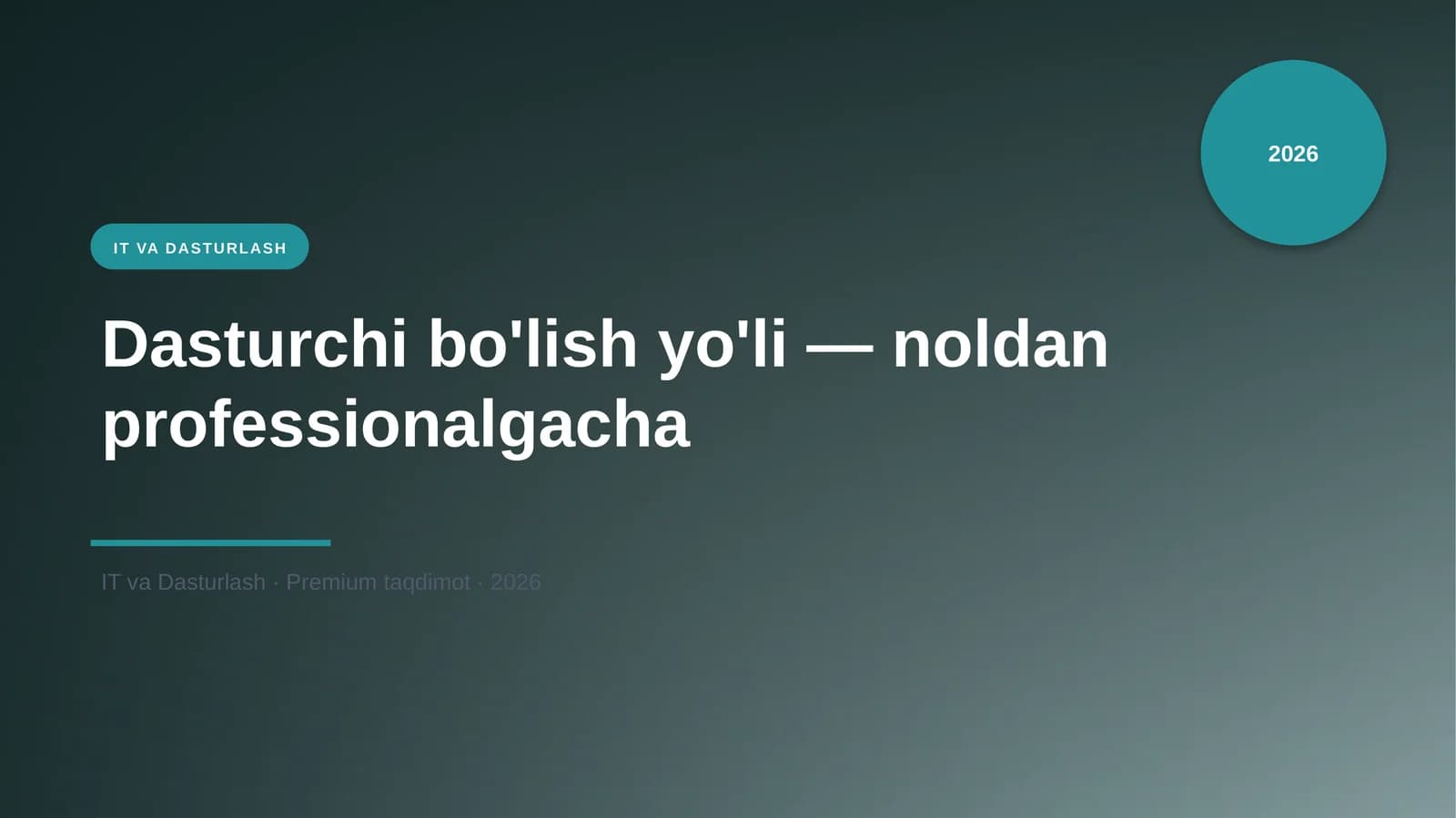 Dasturchi bo'lish yo'li — noldan professionalgacha