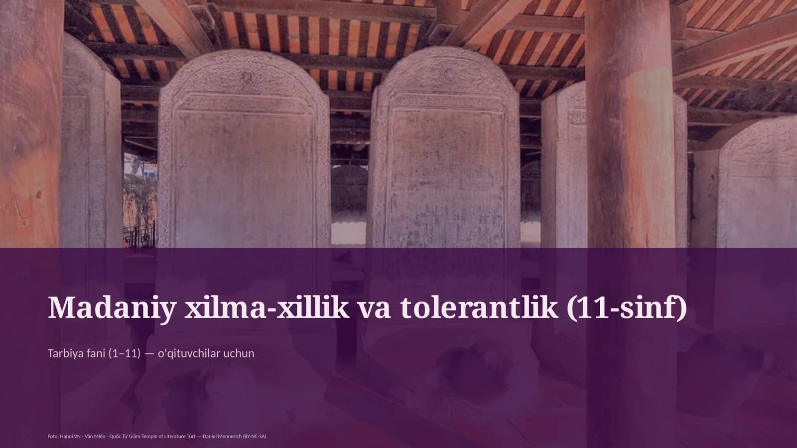Madaniy xilma-xillik va tolerantlik (11-sinf)