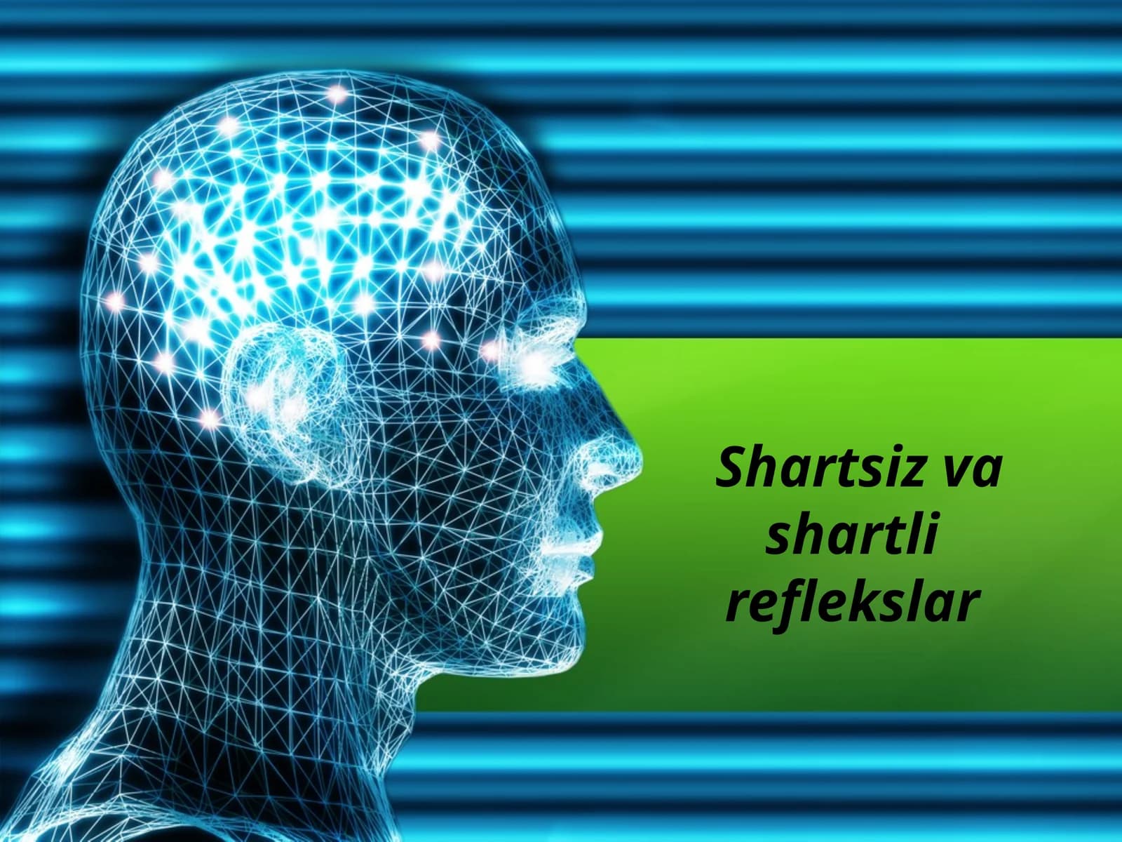Shartsizvashartli reflekslar