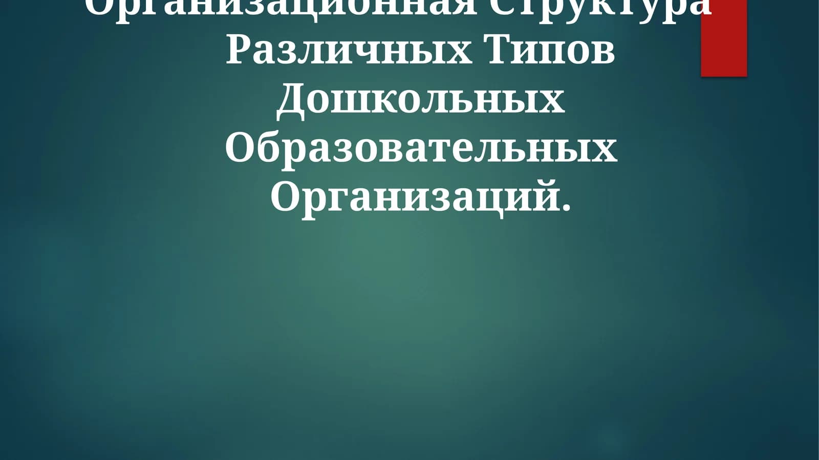 Организационная Структура