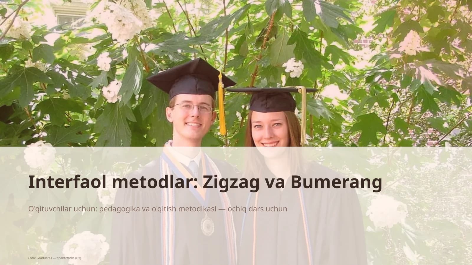 Interfaol metodlar: Zigzag va Bumerang