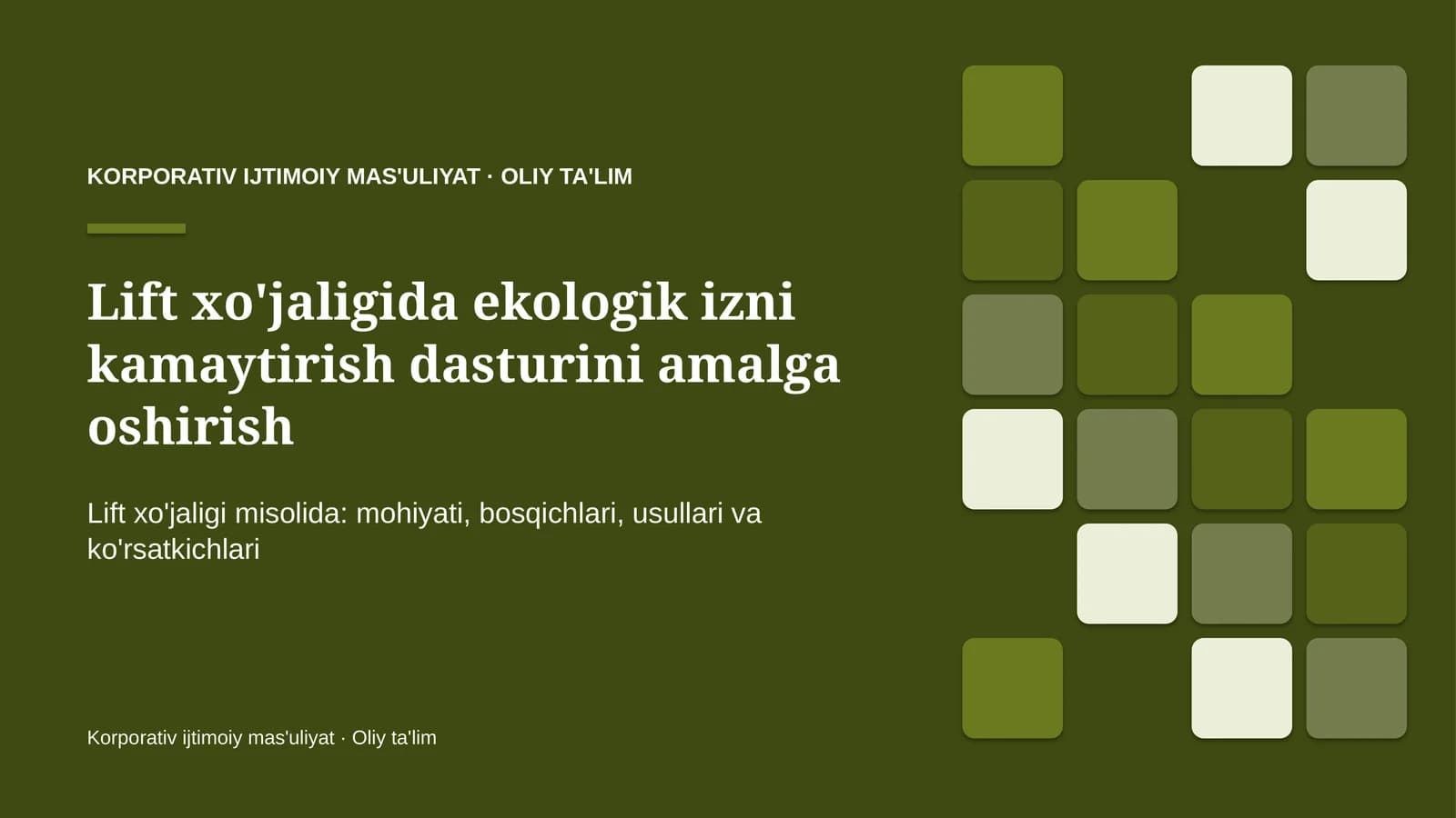 Lift xo'jaligida ekologik izni kamaytirish dasturini amalga oshirish