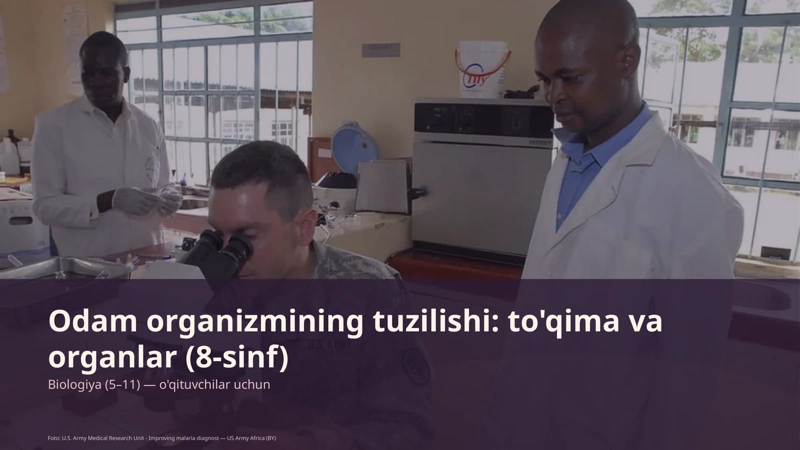 Odam organizmining tuzilishi: to'qima va organlar (8-sinf)