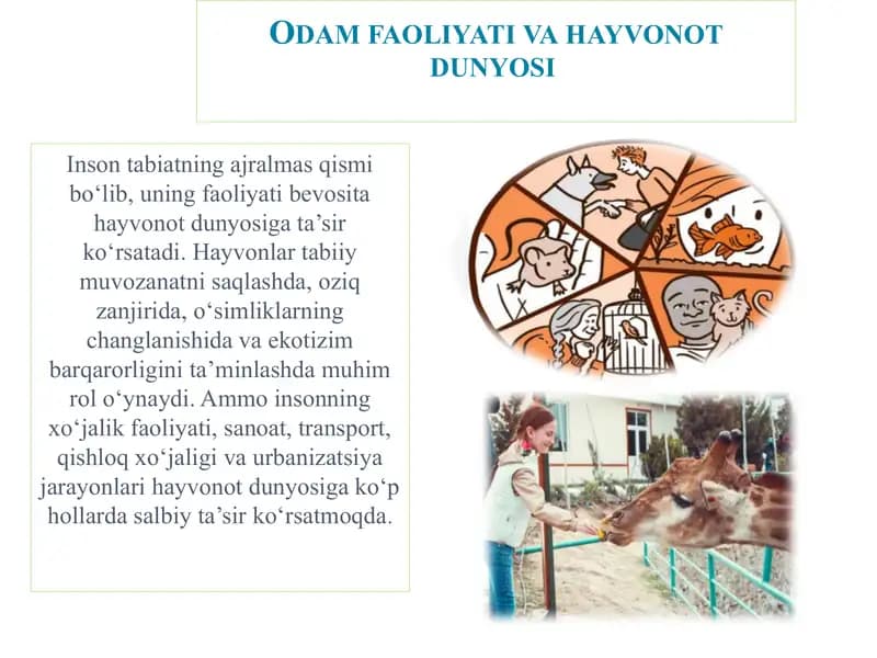 Odam faoliyati va hayvonot dunyosi - Bioekologiya fanining predmeti, maqsadi va vazifalari