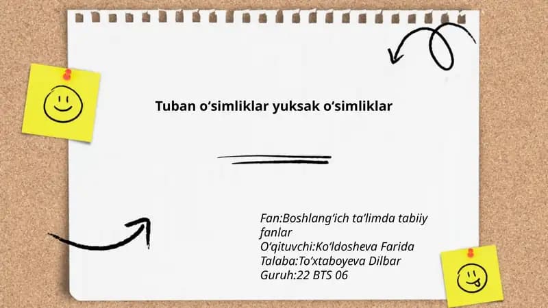 Tuban oʻsimliklar yuksak oʻsimliklar