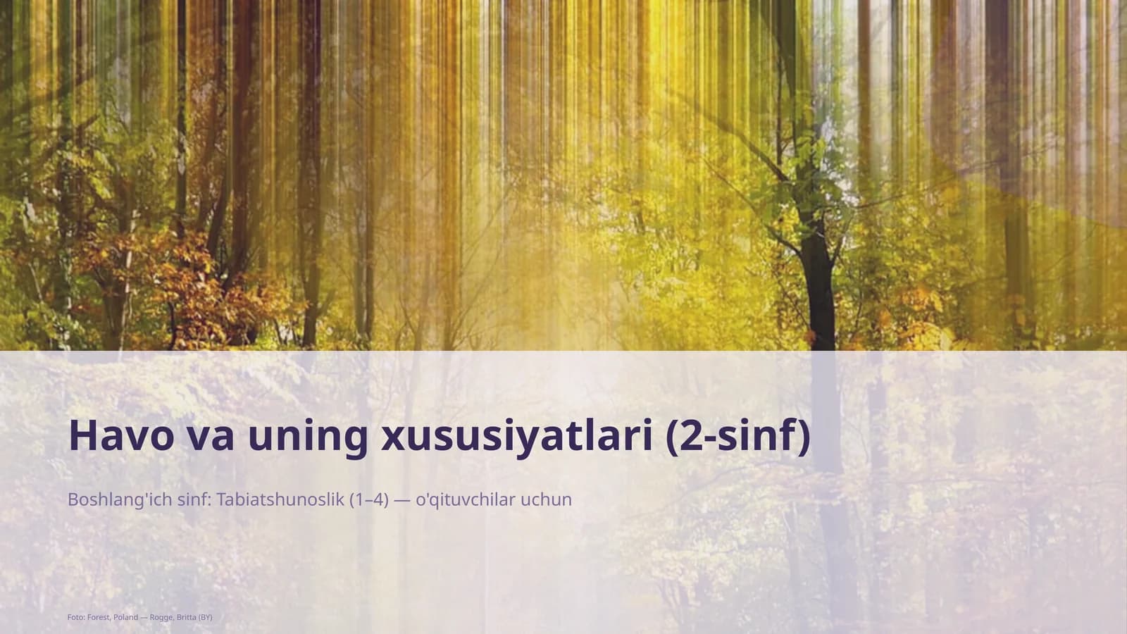 Havo va uning xususiyatlari (2-sinf)