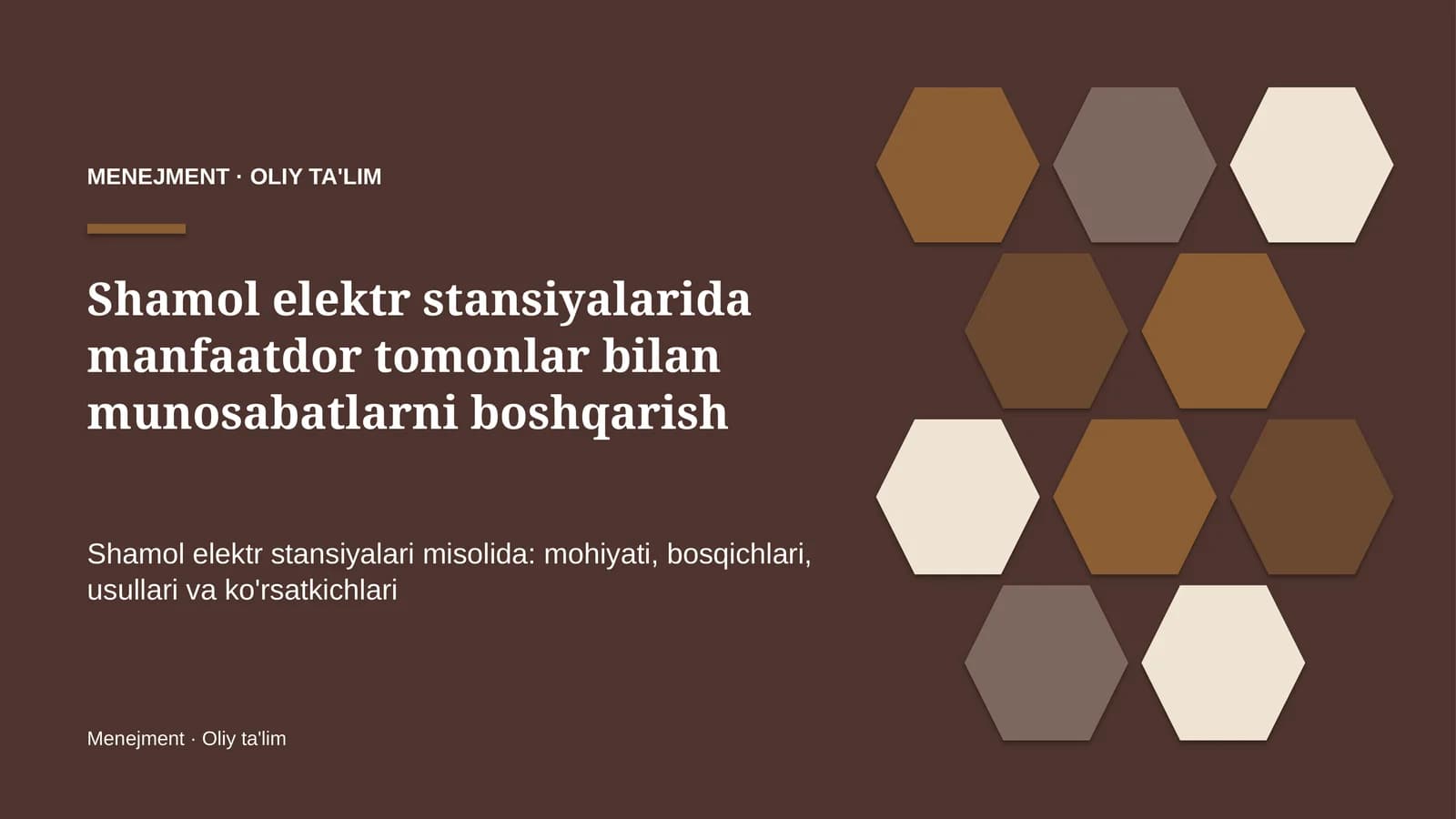 shamol elektr stansiyalarida manfaatdor tomonlar bilan munosabatlarni boshqarish 6314