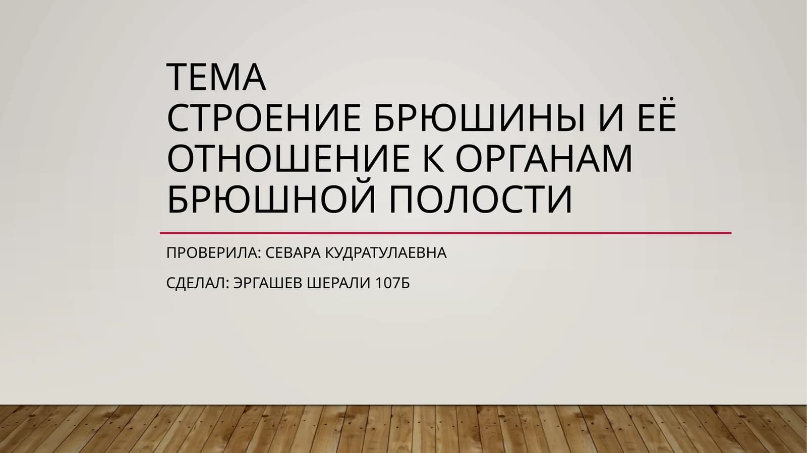 Брюшина (peritoneum)