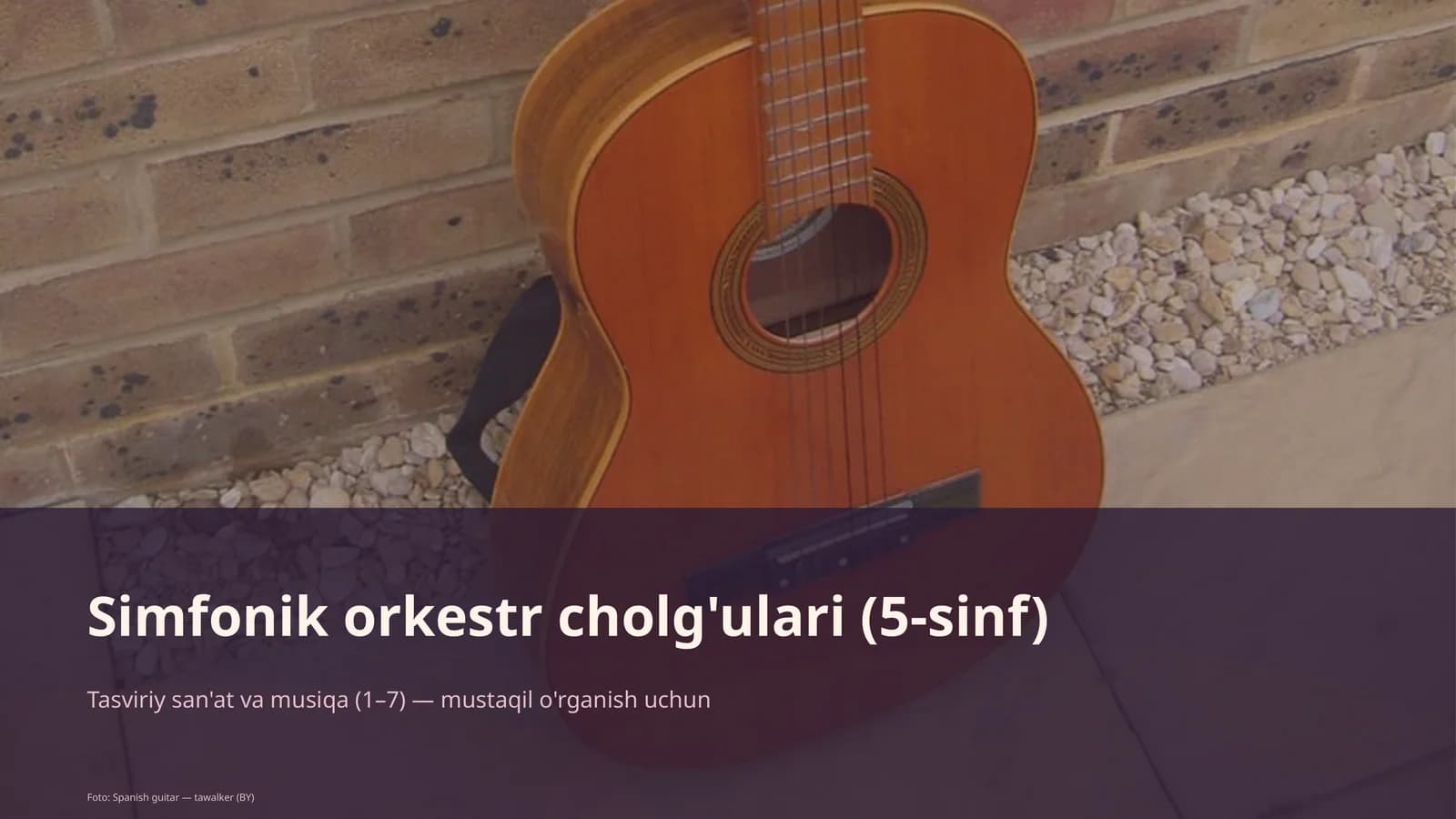 Simfonik orkestr cholg'ulari (5-sinf)