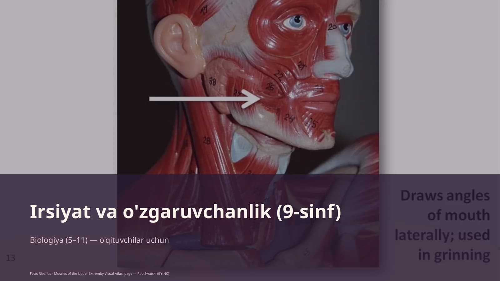Biologiya (5–11) — o'qituvchilar uchun