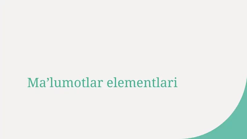Ma’lumotlar elementlari