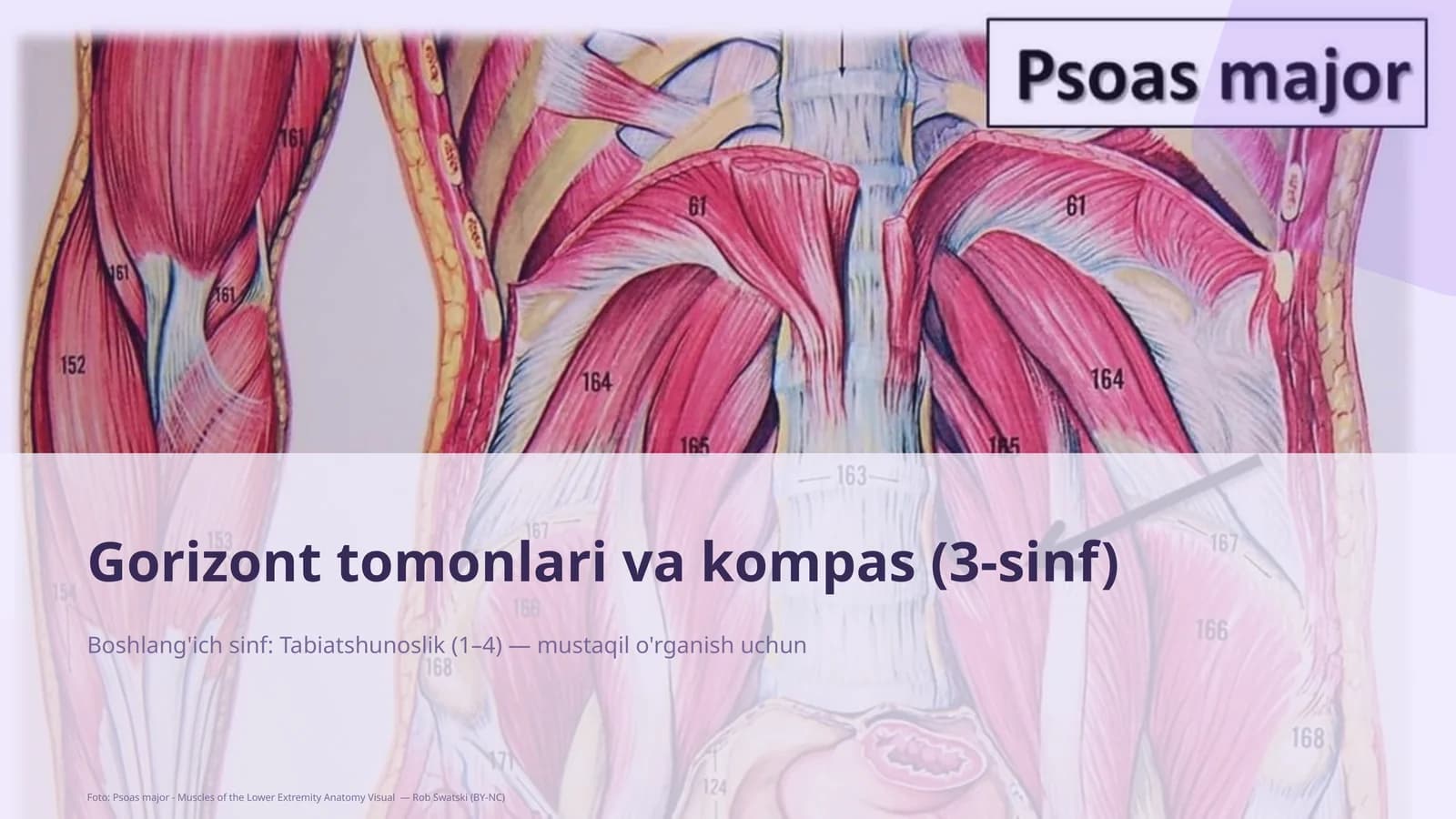 Gorizont tomonlari va kompas (3-sinf)