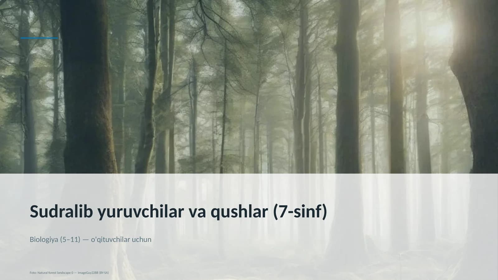 Sudralib yuruvchilar va qushlar (7-sinf)