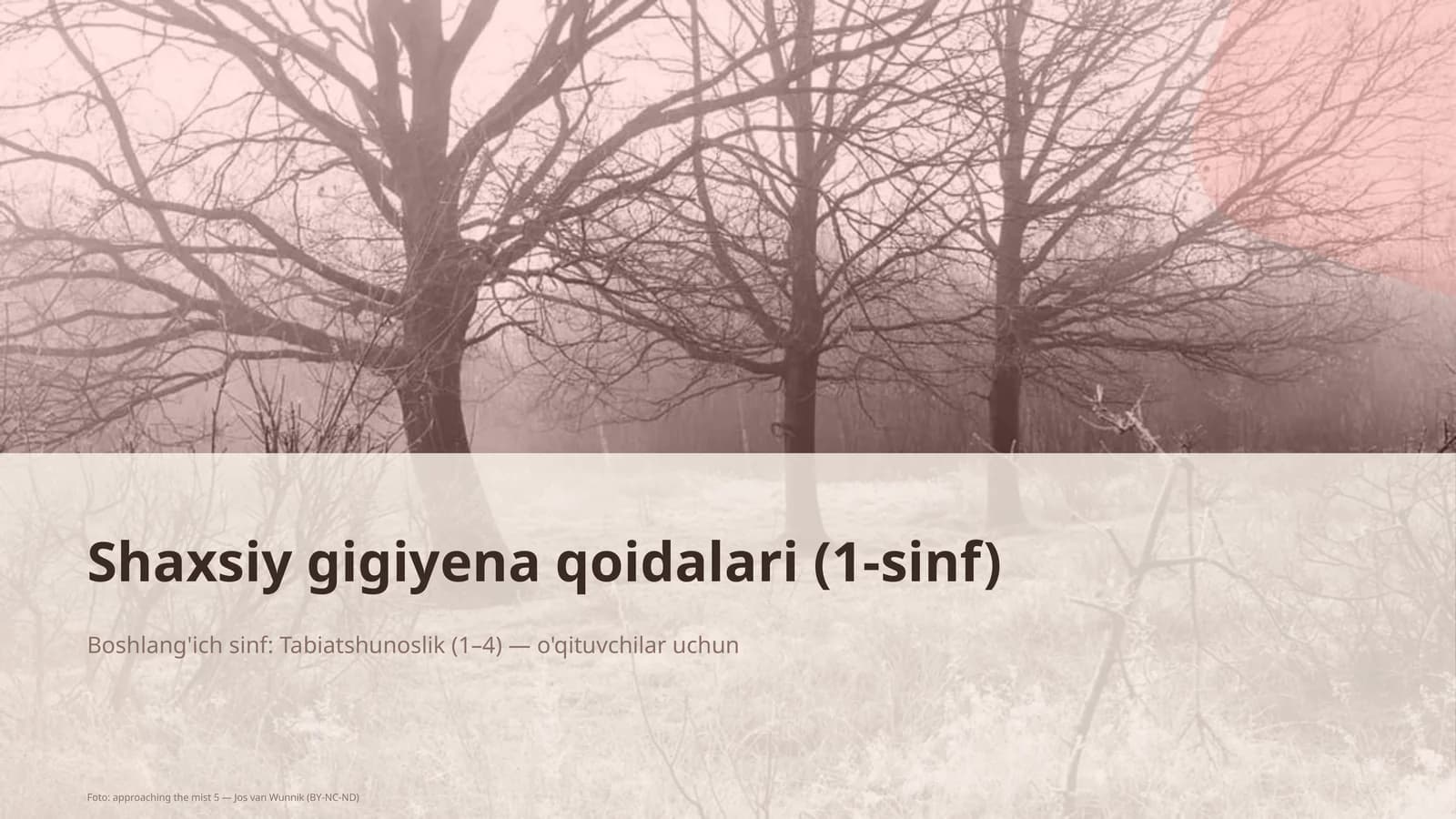 Shaxsiy gigiyena qoidalari (1-sinf)