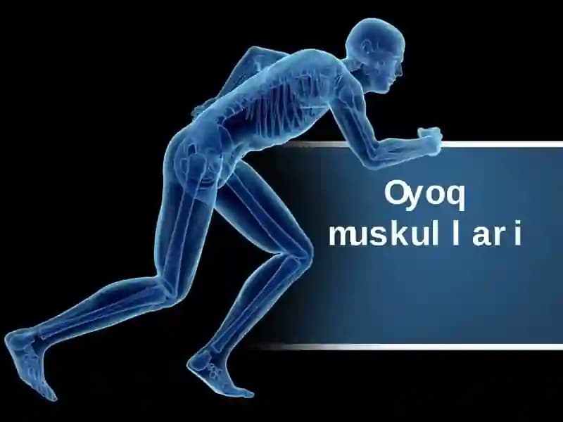 oyoq muskullari